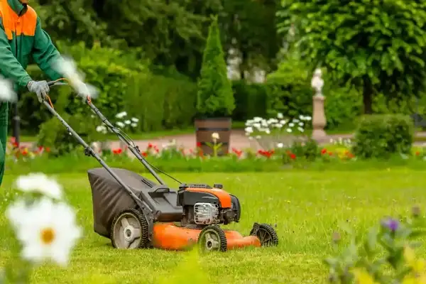 Landscaping Maintenance