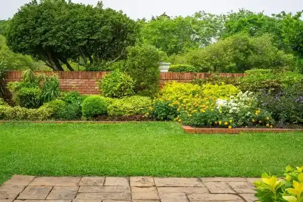 Landscaping Maintenance