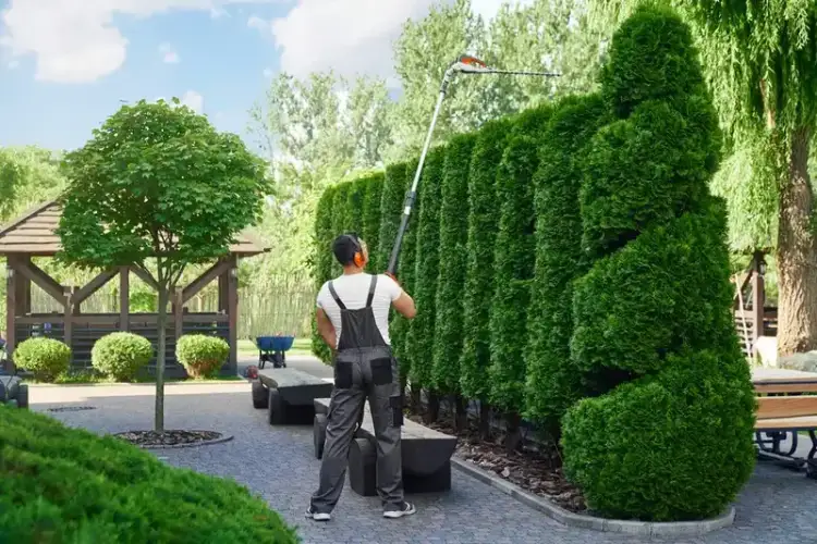 Professional Landscaper